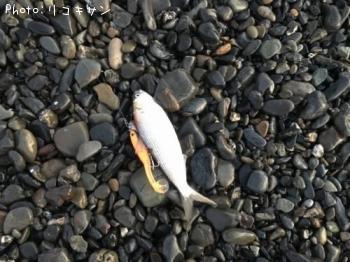 ���Υ���