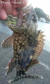 ¥¬¥é¥«¥Ö¡¢¥á¥Ð¥ë