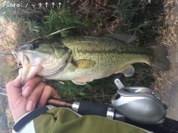 �֥�å��Х�