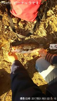 �֥�å��Х�