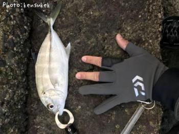 ���󥬥ᥢ��