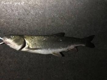 �ޥ륿������