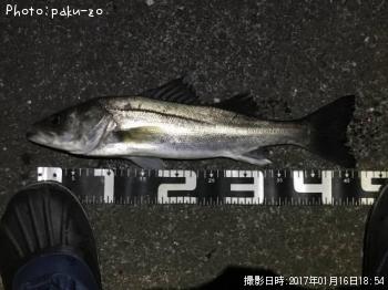 �����Х�