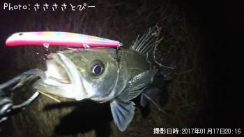 �����Х�