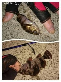 �ͥ����յ���