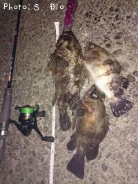 ��饽������Х�