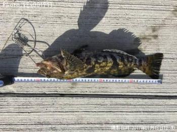 �����ʥ�