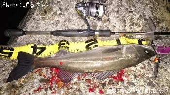 �����Х�