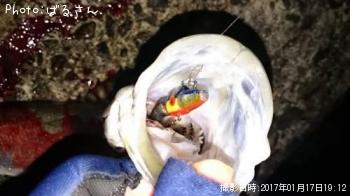 �����Х�