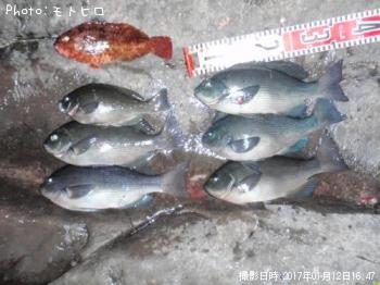 ¸ýÂÀ¥á¥¸¥Ê