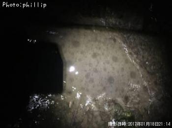 ¥Ä¥Ð¥¯¥í¥¨¥¤