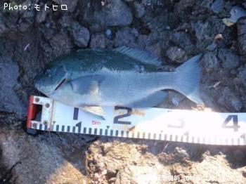 �����᥸��