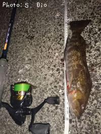 �����ʥ�