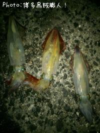 ���󥵥�����