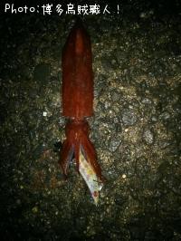 ���󥵥�����