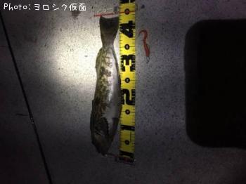 �����ʥ�