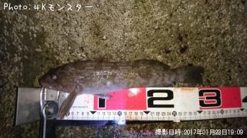 �����ʥ�