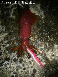 ��ꥤ�������󥵥�����