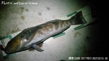 �����ʥ�