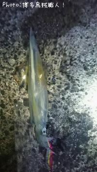 ��ꥤ��