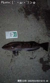 �����ʥ�