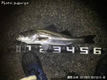 �����Х�