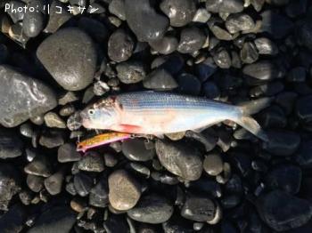 ���Υ���