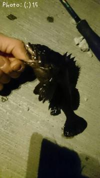 ������������