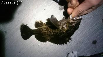 ������������