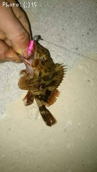 ������������