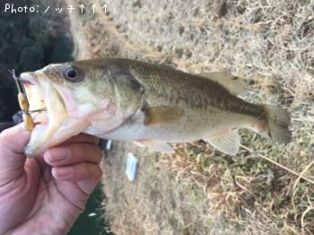 �֥�å��Х�