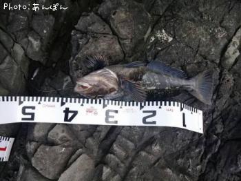 �����ʥ�