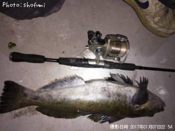 �����ʥ�