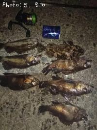 ��Х롢��饽��