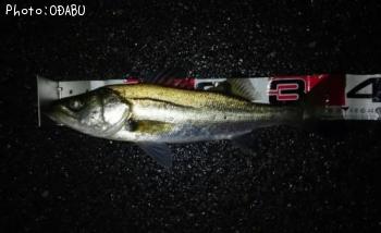 �����Х�