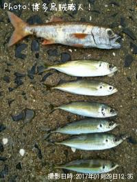 ��ġ�����