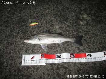 �����Х�