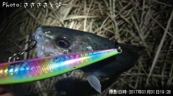 �������Х�