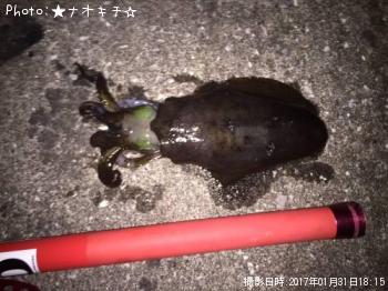 �����ꥤ��