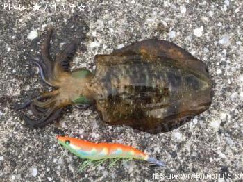 �����ꥤ��