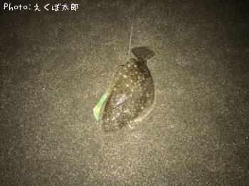 �ҥ��ʥ�����