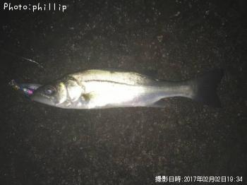 �����Х�