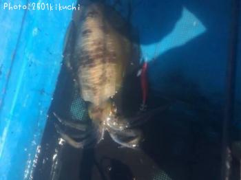 �����ꥤ��