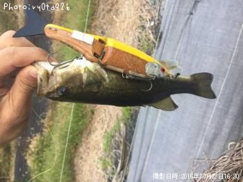 ¥Ö¥é¥Ã¥¯¥Ð¥¹