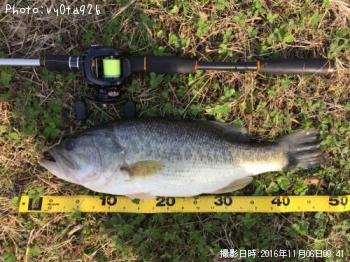 �֥�å��Х�