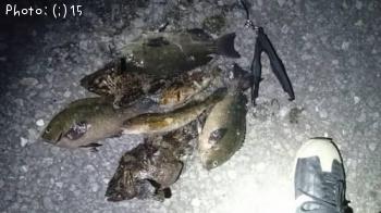 �����������ʥᡢ����ݡ��᥸��