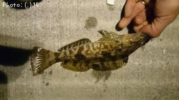 �����������ʥᡢ����ݡ��᥸��