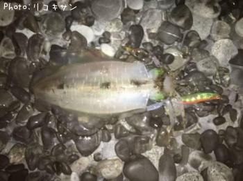 �����ꥤ��