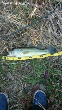 �֥�å��Х�