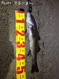 �����Х�